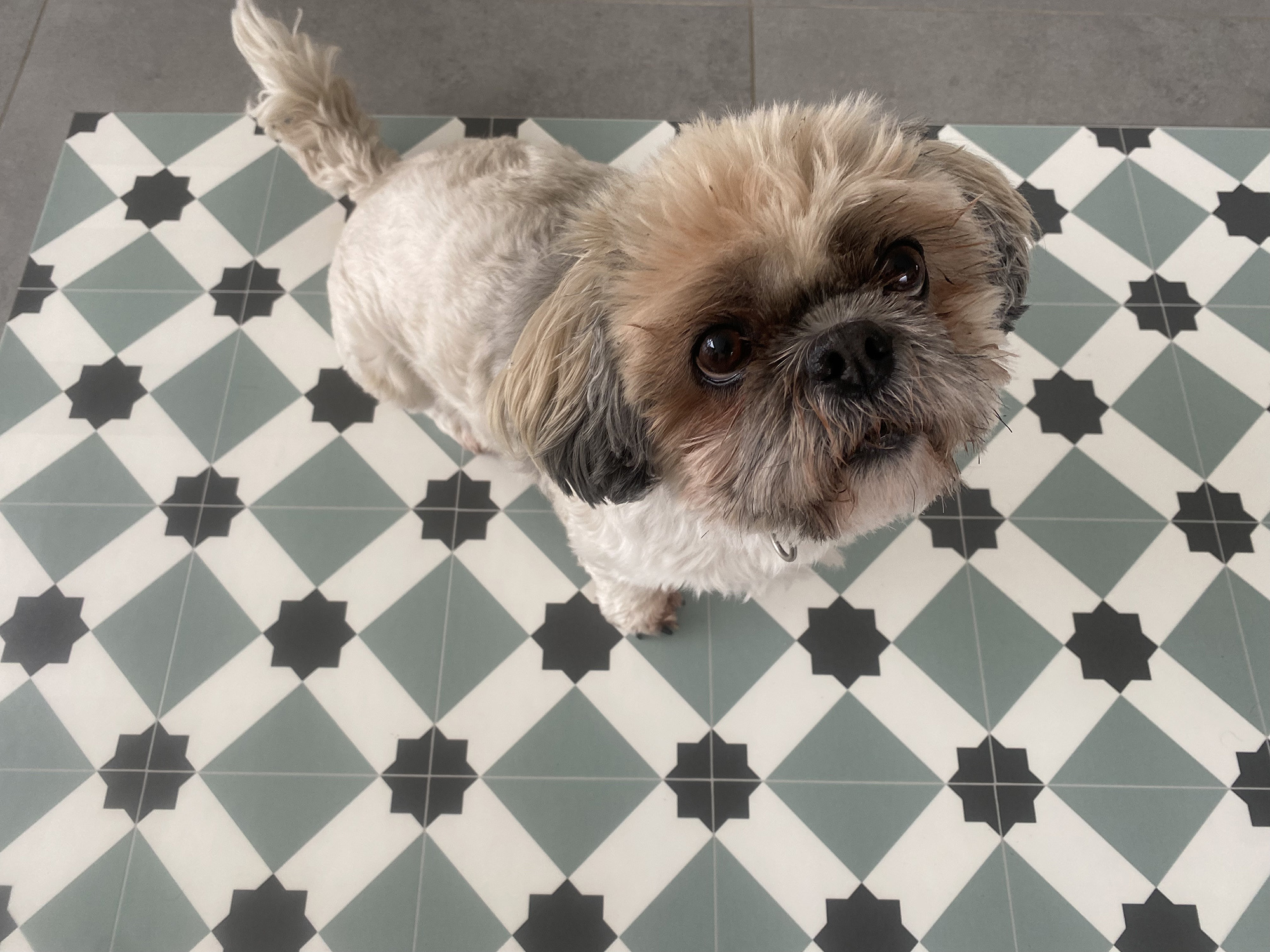 Postel - Vinyl Keukenloper - 50 cm