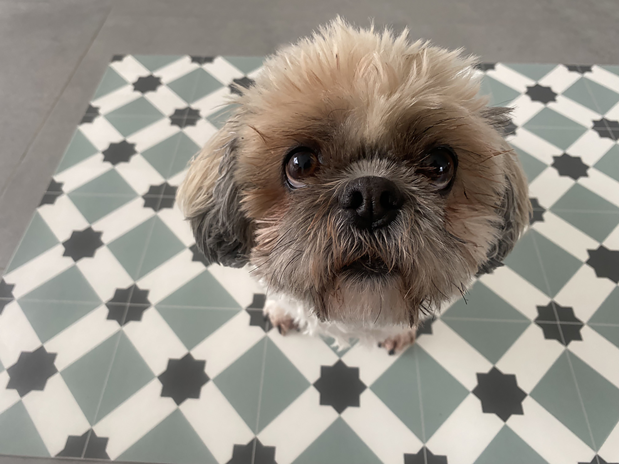 Postel - Vinyl Keukenloper - 50 cm