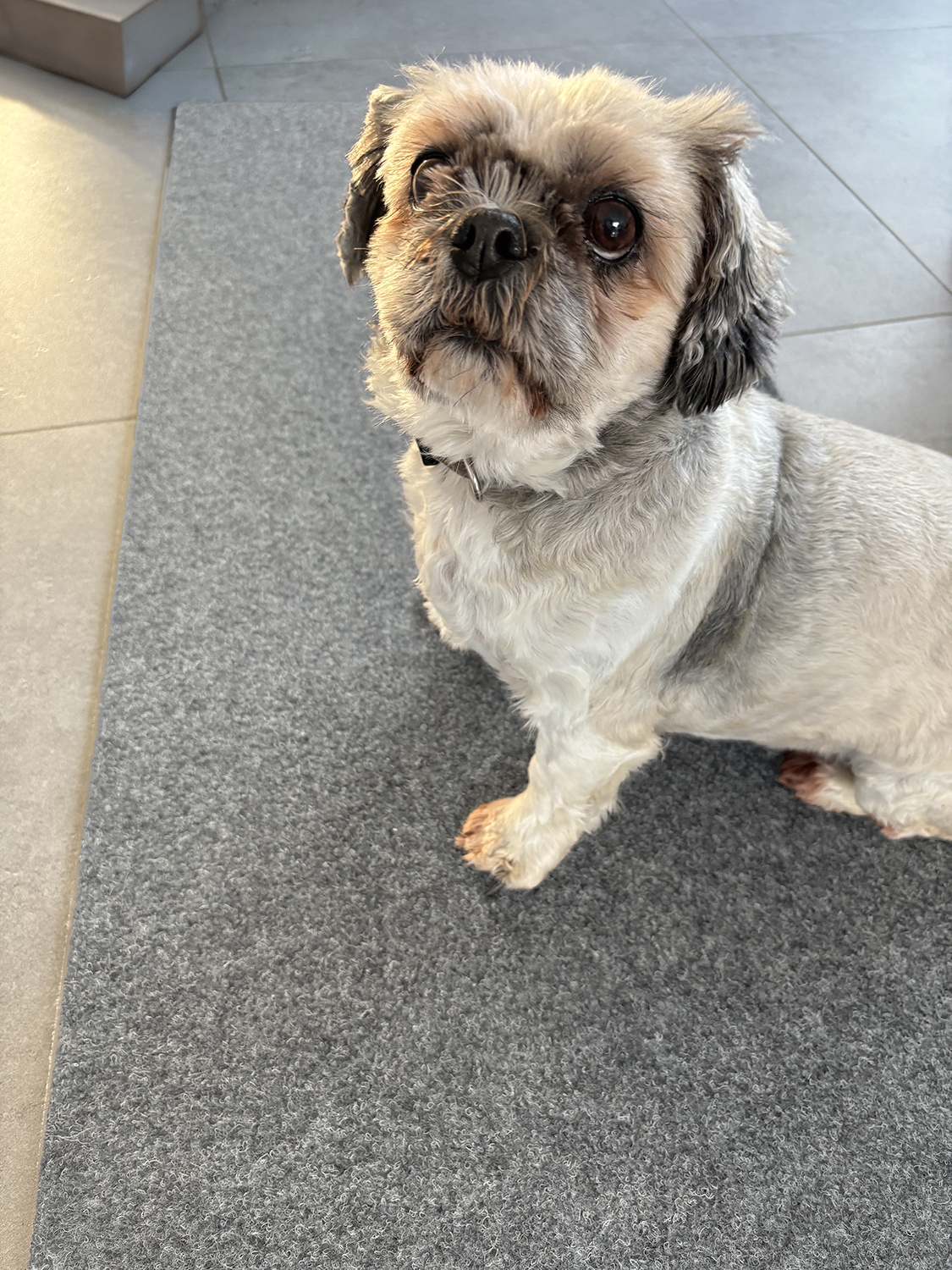 Keukenloper STAR grijs breedte 50cm