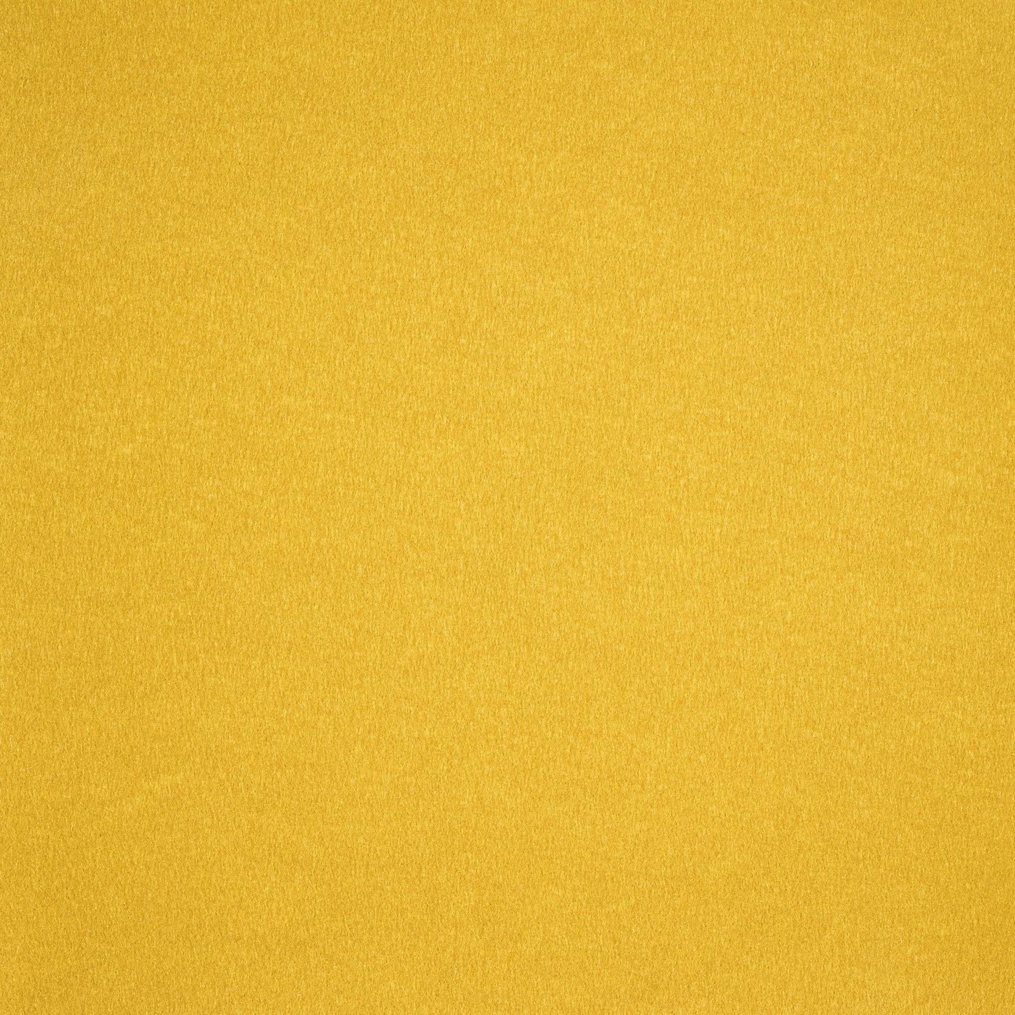 Gouden Loper op lengte - 100cm