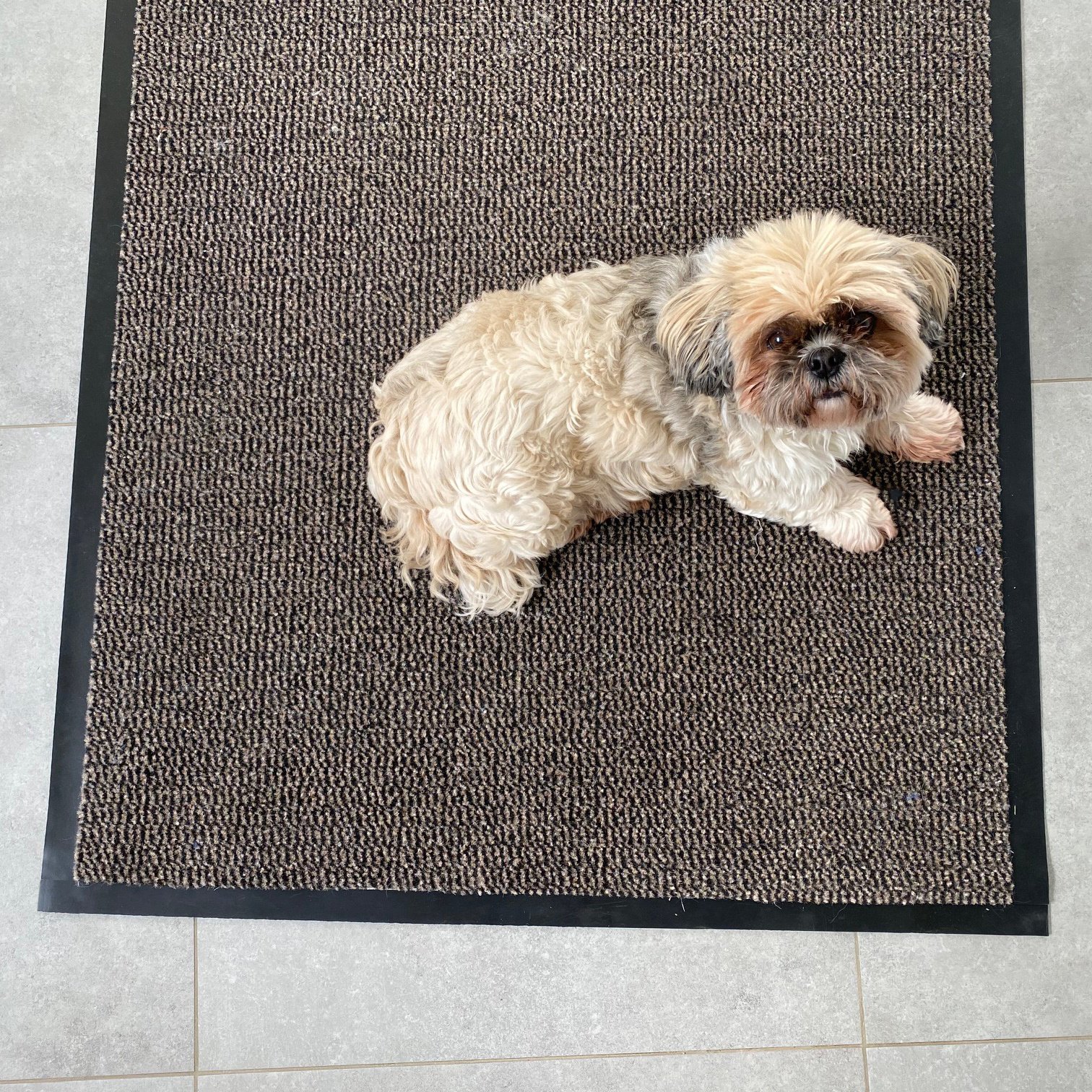 Enter beige - 4 zijden afwerking - deurmat Schoonloop loper - Maatwerk - 90cm