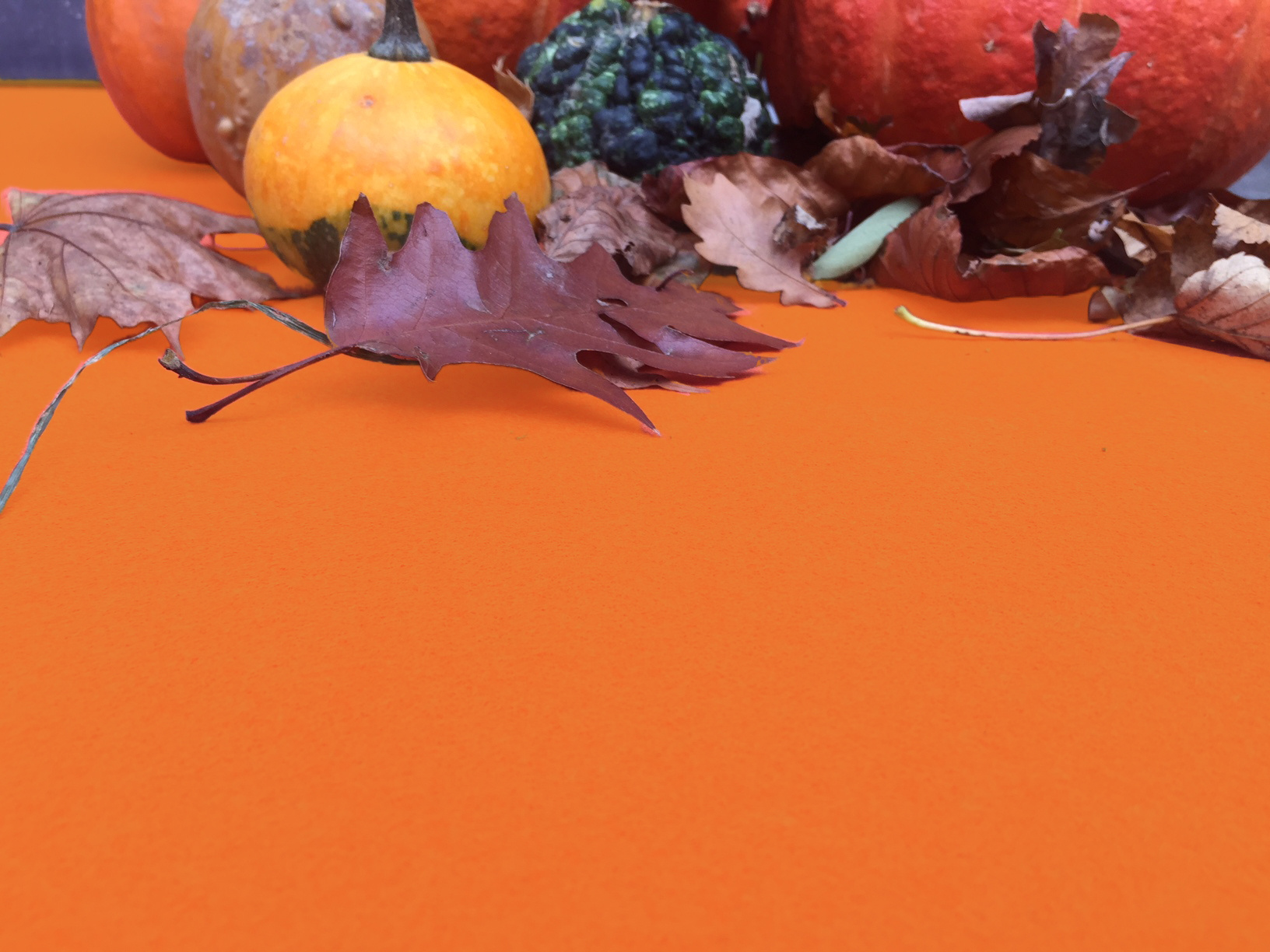 Oranje Loper op lengte - 200cm