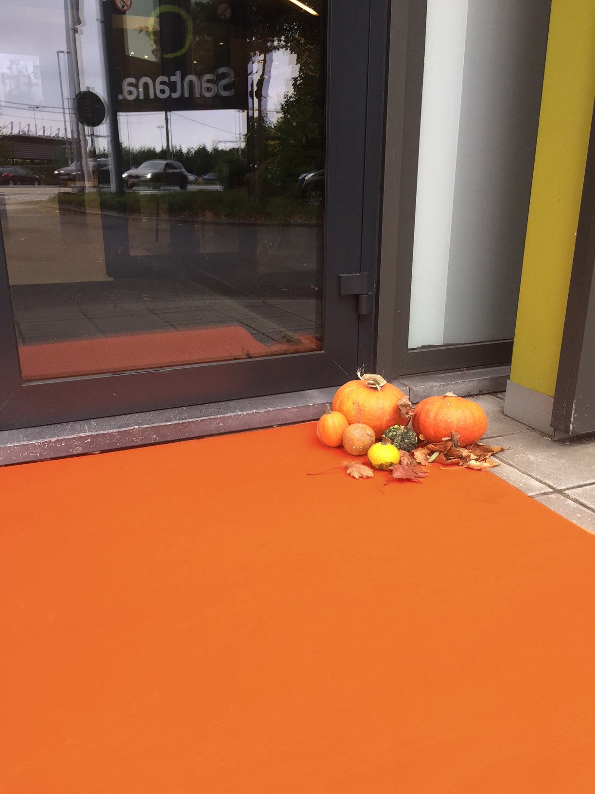 Oranje Loper op lengte - 200cm