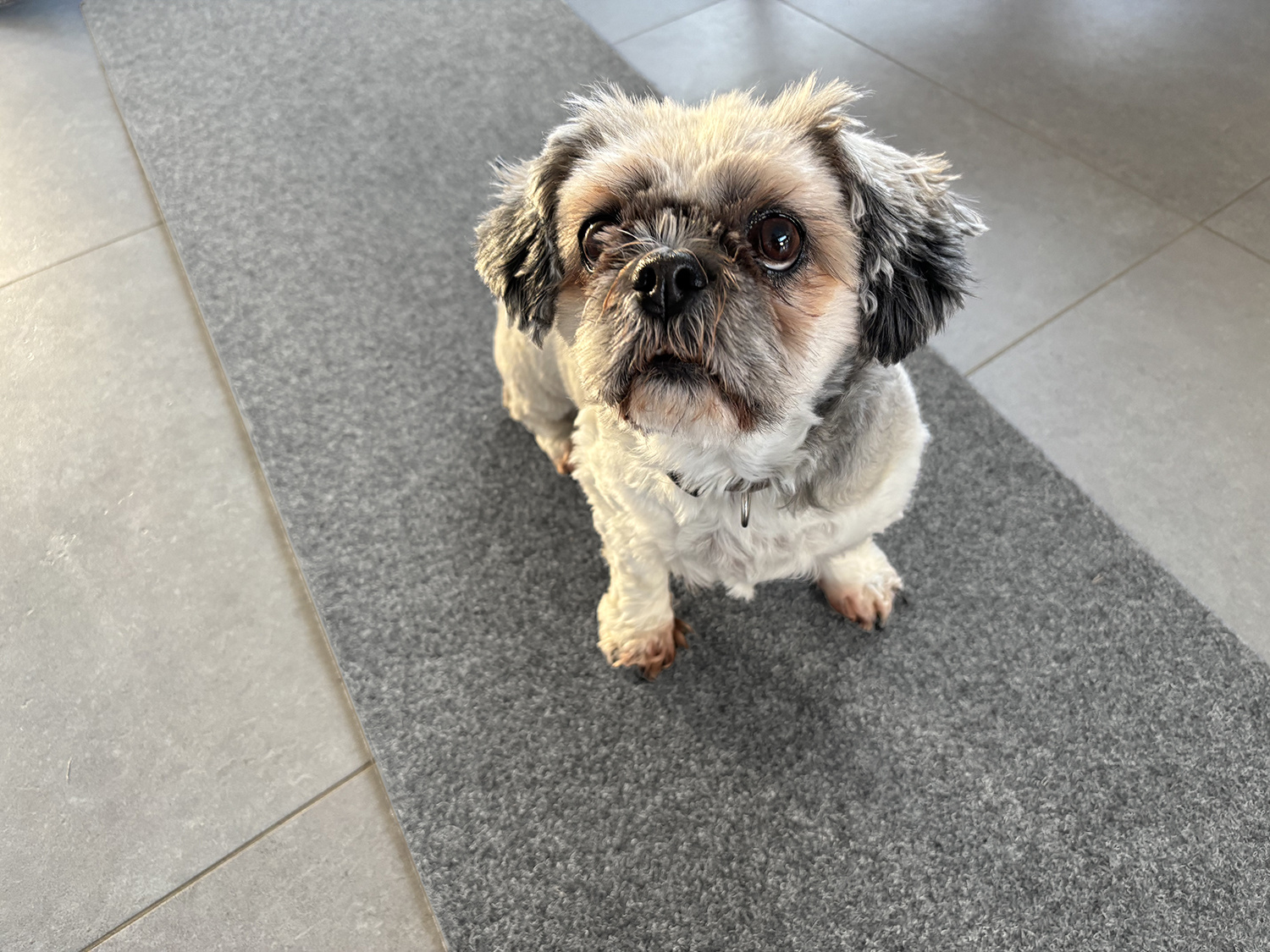 Keukenloper STAR grijs breedte 50cm