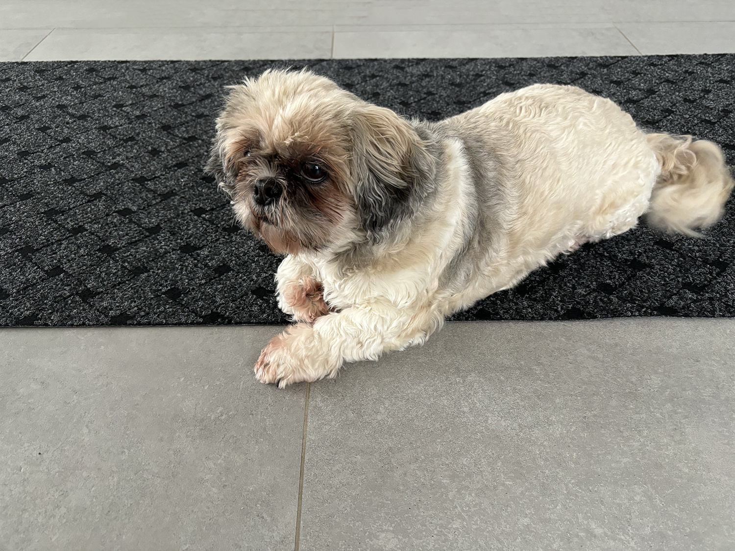 JYG Union antraciet zwart tapijtloper 100 breed